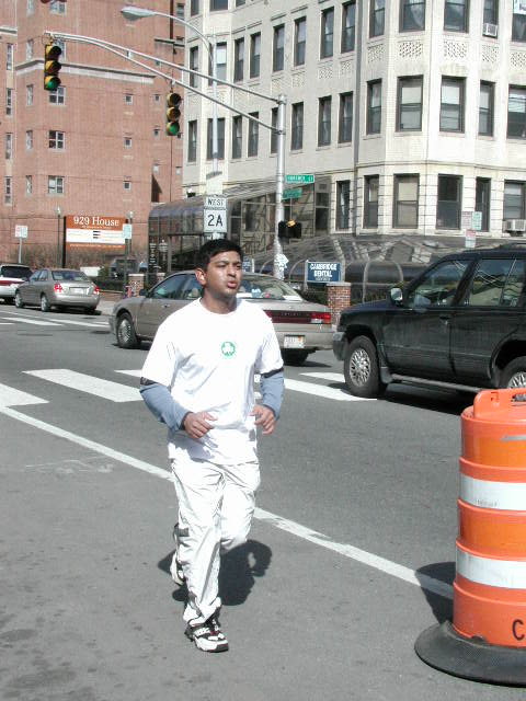 anrasmor-290.jpg  (80.9 Kb)