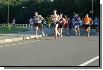 IMGP0217.jpg  (120.2 Kb)