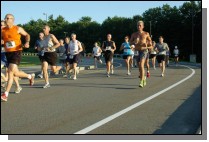 IMGP0219.jpg  (124.9 Kb)