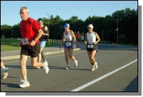 IMGP0223.jpg  (114.3 Kb)