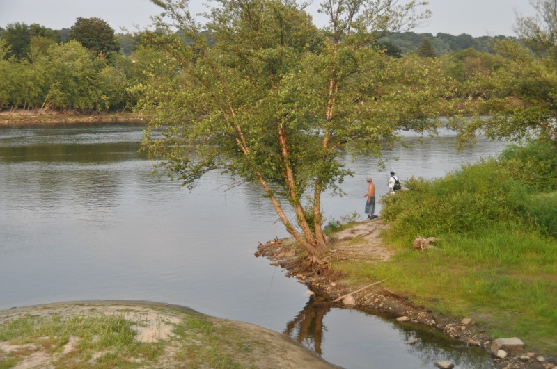 100804- 014.jpg  (123.8 Kb)