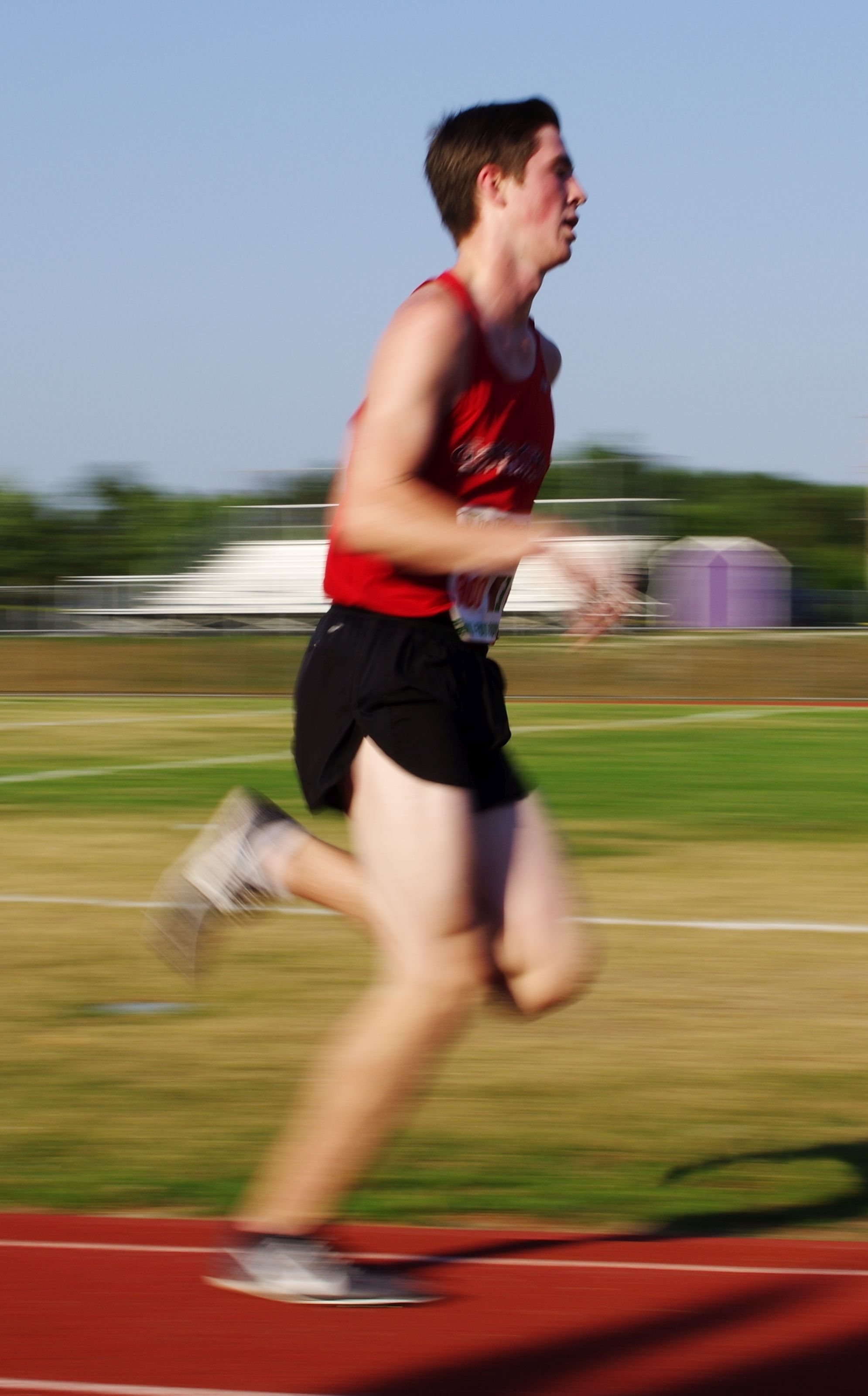 IMGP5601.jpg  (392.6 Kb)