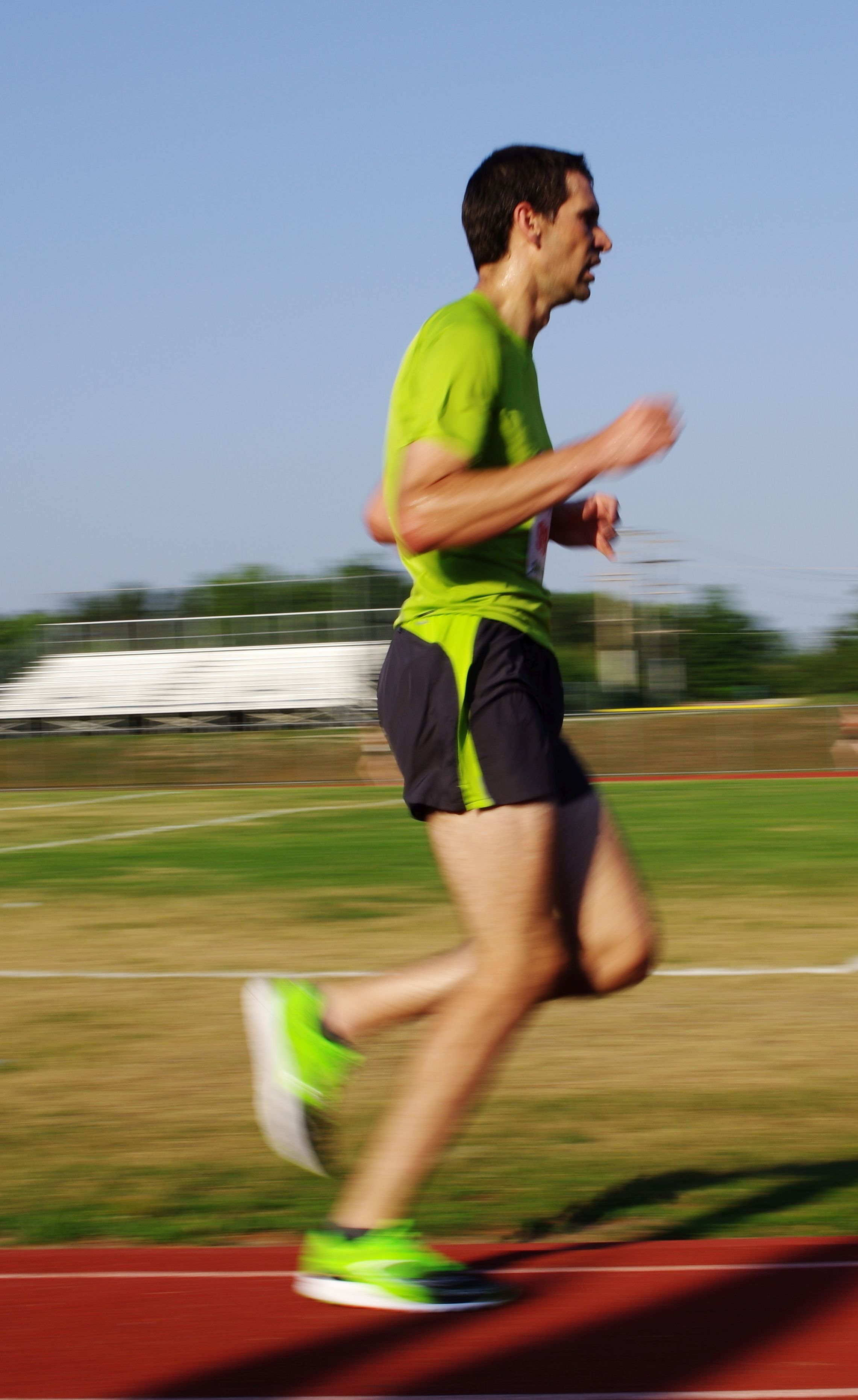 IMGP5609.jpg  (532.2 Kb)