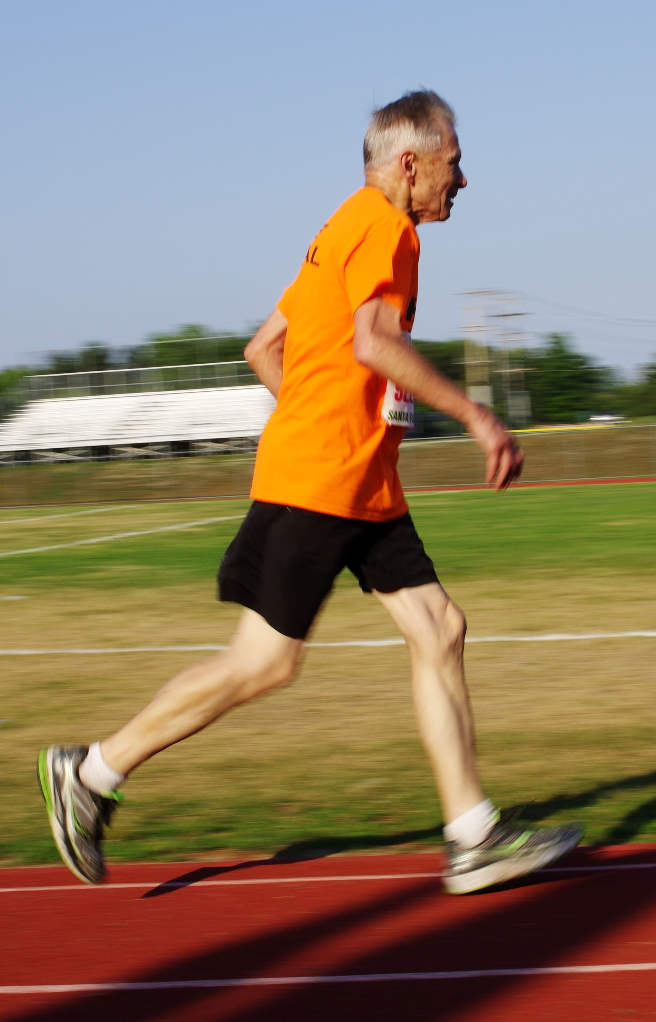 IMGP5611.jpg  (510.9 Kb)