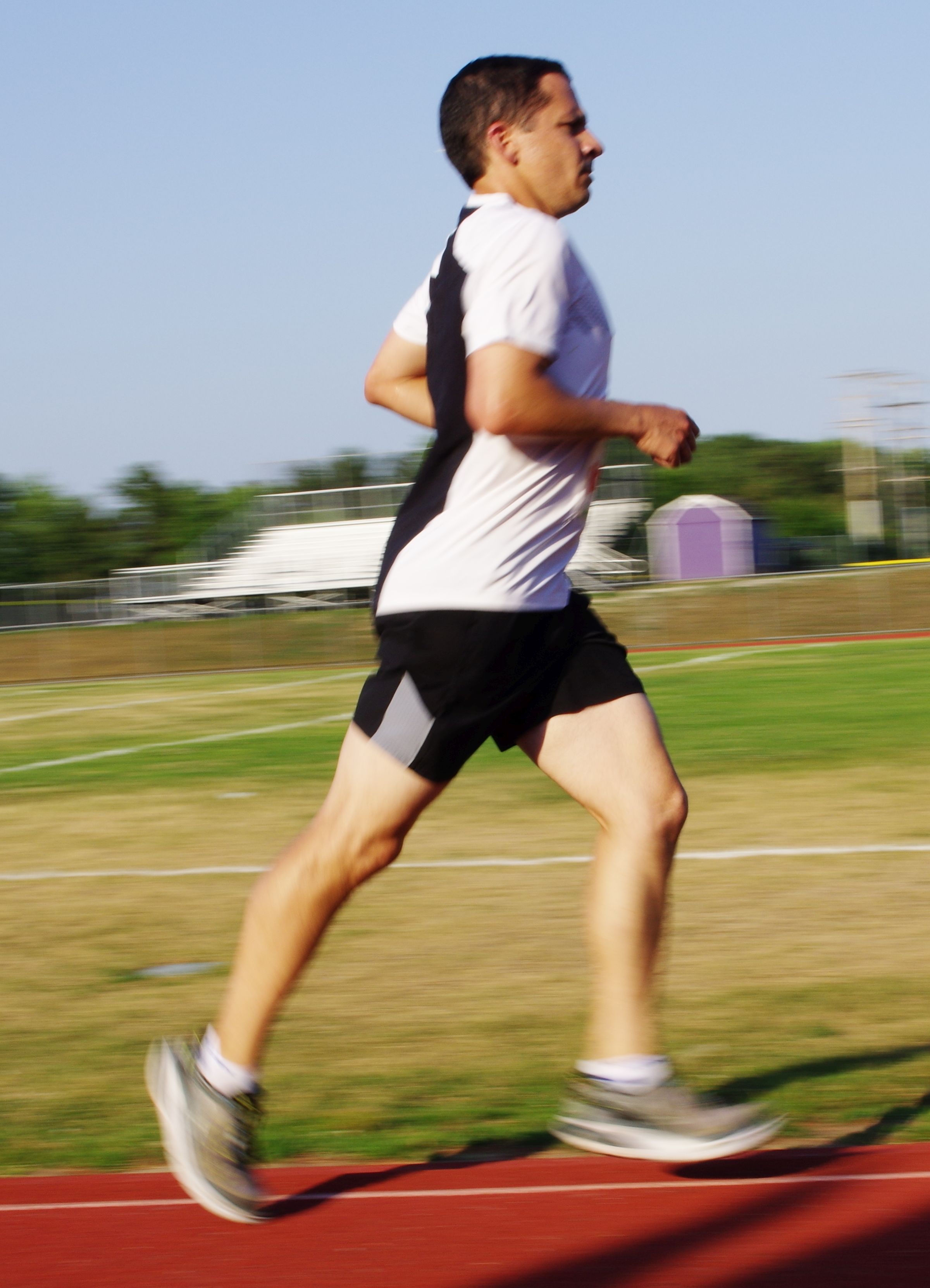 IMGP5619.jpg  (549.4 Kb)