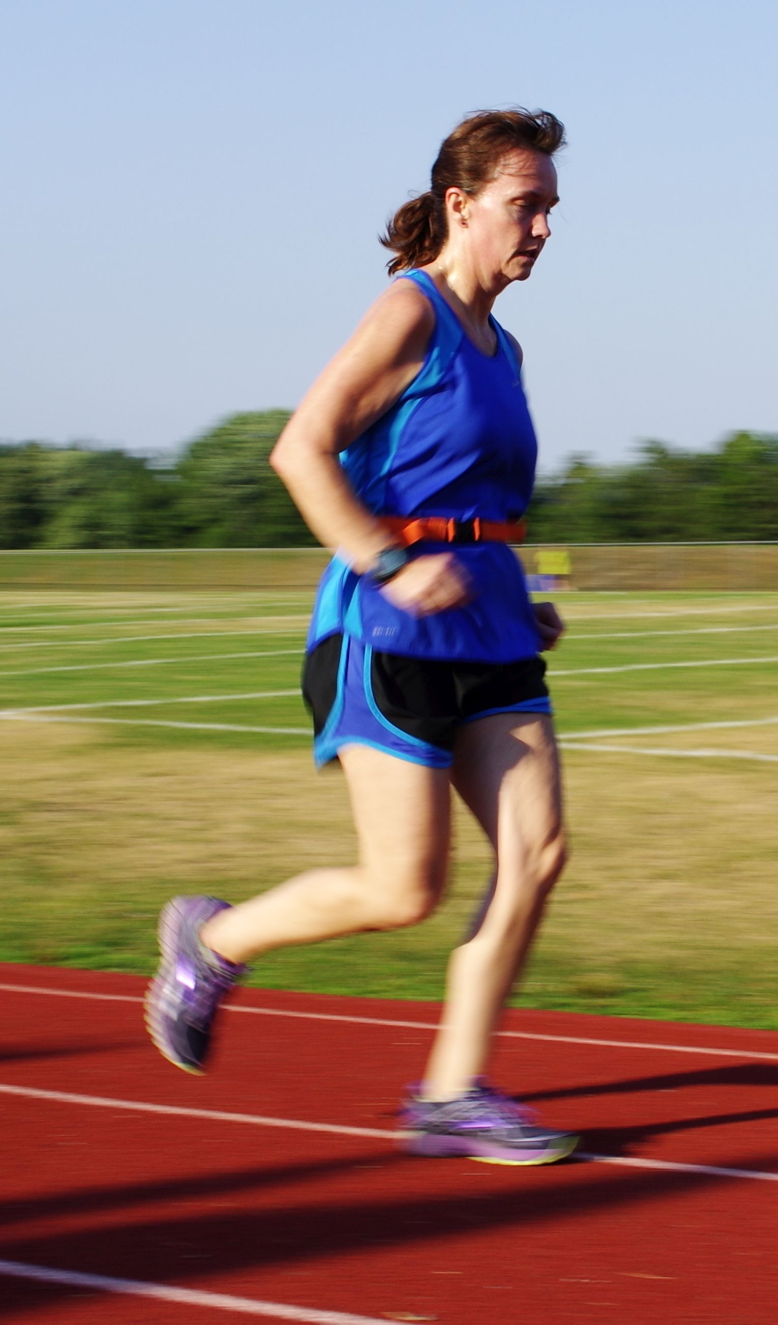 IMGP5633.jpg  (313.8 Kb)
