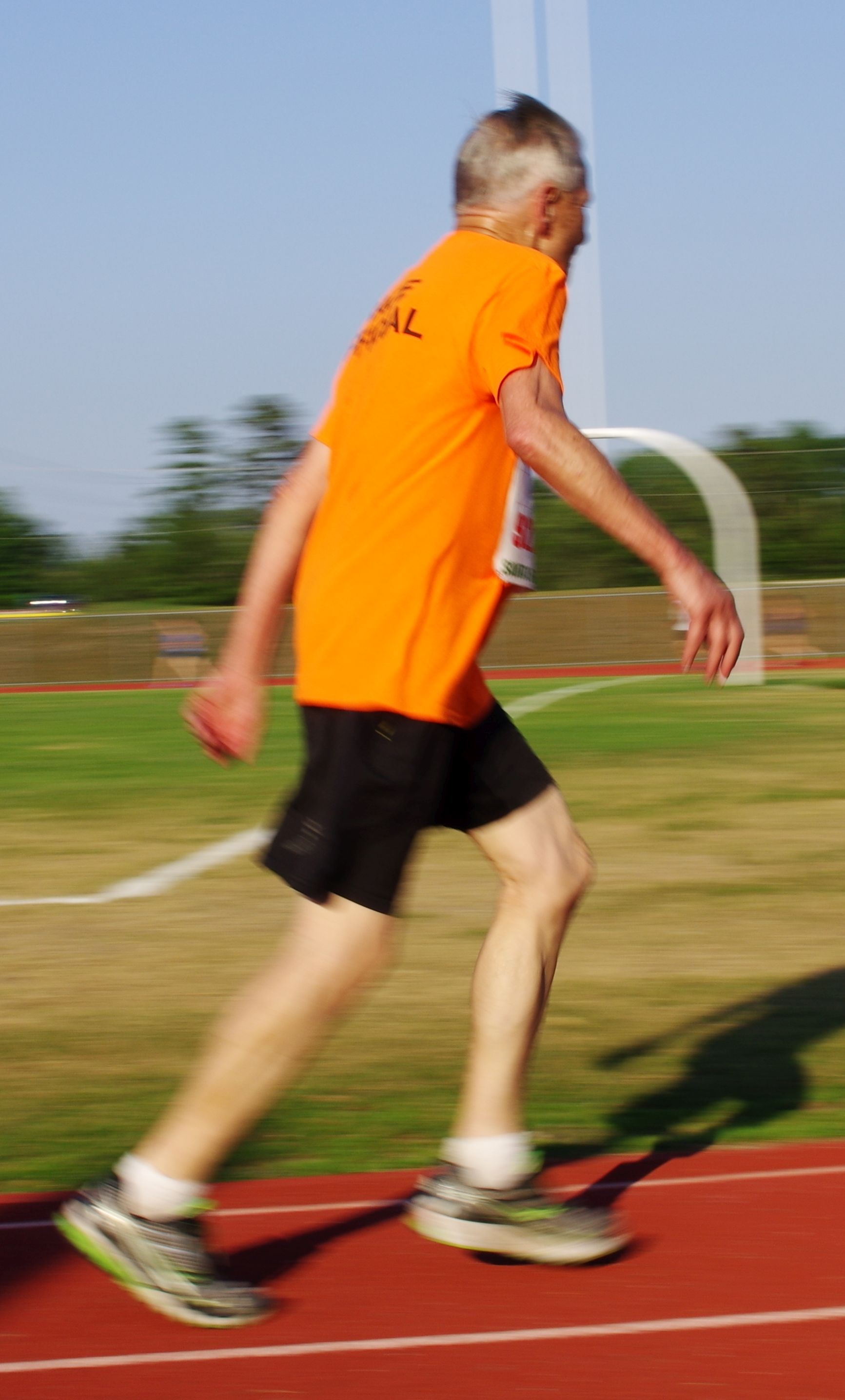 IMGP5640.jpg  (328.5 Kb)